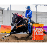 Breyer Traditional ATP Power - Amberly Snyder's Barrel Racer