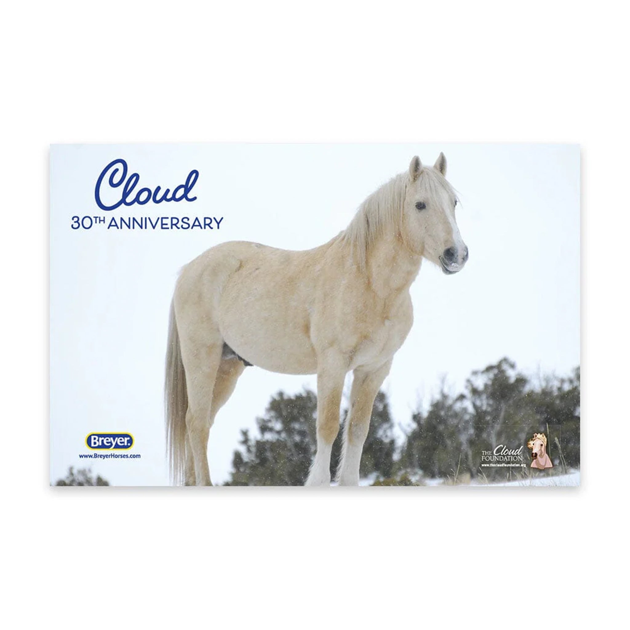 Breyer Traditional Cloud: 30th Anniversary Edition  - Wild Stallion of the Rockies