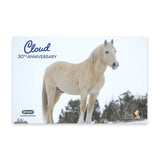 Breyer Traditional Cloud: 30th Anniversary Edition  - Wild Stallion of the Rockies