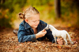 Breyer Traditional Snowman