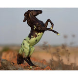 Breyer Freedom Mint Chip Dessert Decorator Horse 2025