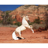 Breyer Traditional Cloud: 30th Anniversary Edition  - Wild Stallion of the Rockies