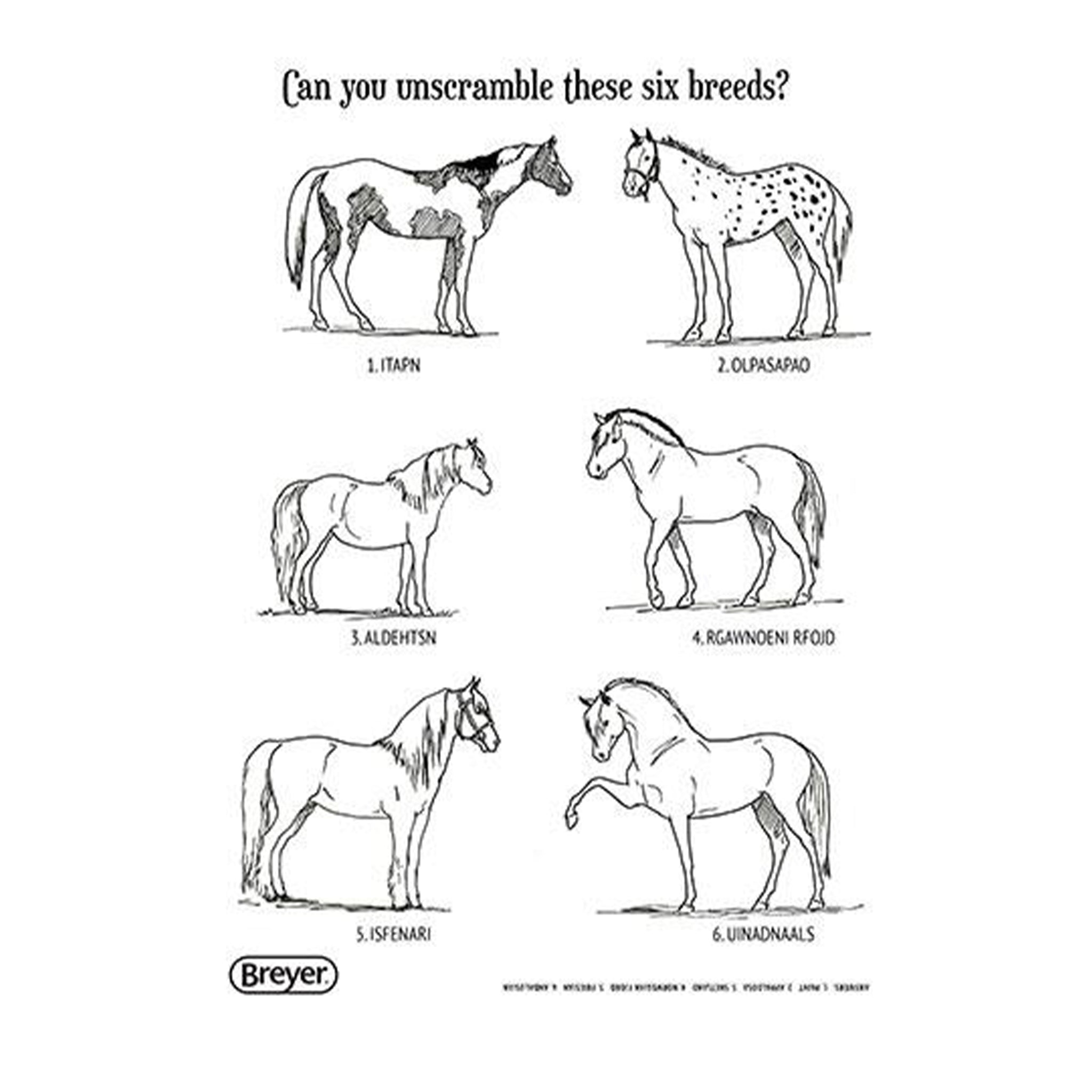 Breyer Activity H is for Horse Book