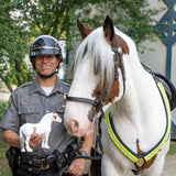 Breyer Traditional Hytyme Legend KHP Mounted Police Horse