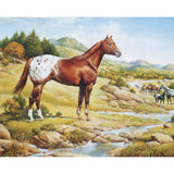 Breyer Traditional Ideal Series - Appaloosa